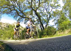 road cycling